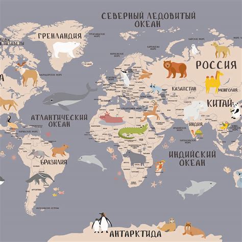 世界动物地图 的图像结果