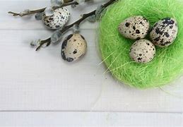 Image result for Happy Easter Baby Bunnies