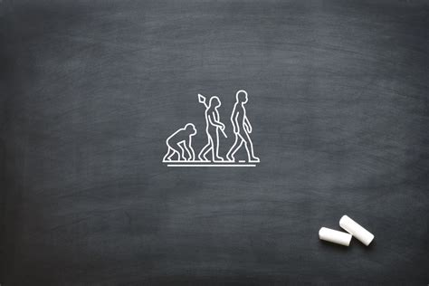 Image result for Evolution of Animation