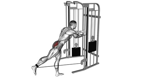 Cable Standing Hip Extension: Exercise Guide & Tips