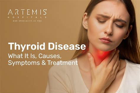 Typhoid Fever: Symptoms, Causes, Diagnosis & Treatment | Artemis Hospitals