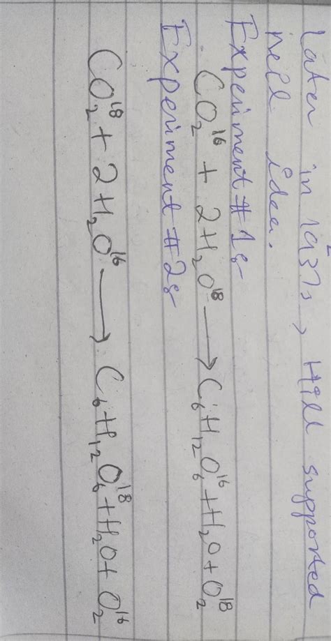 During photosynthesis, the oxygen in glucose comes from a) CO2b) water ...