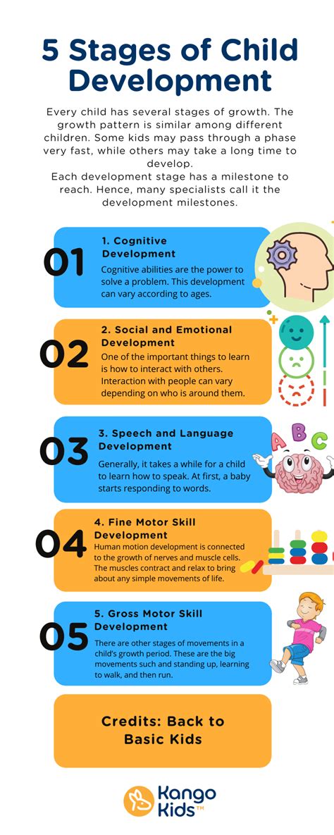 Image result for Identification of Stages of Development