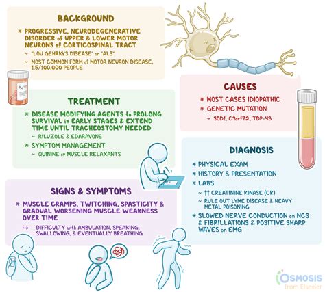 Amyotrophic Lateral Sclerosis (ALS): What Is It, Causes, Treatment | Osmosis