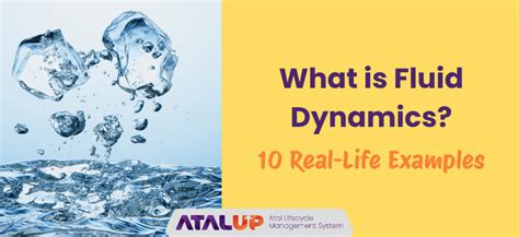 Image result for Fluid Dynamics Examples
