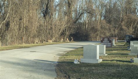 Saints Peter and Paul Cemetery - Springfield, Pennsylvania — Local ...
