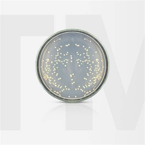 Step-by-Step Guide to Decoding Nutrient Agar for Microbiology