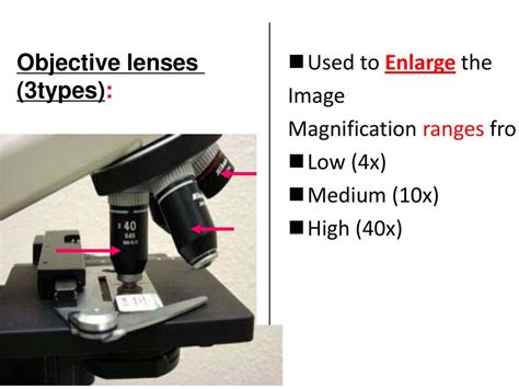 Image result for Microscope Magnification Power