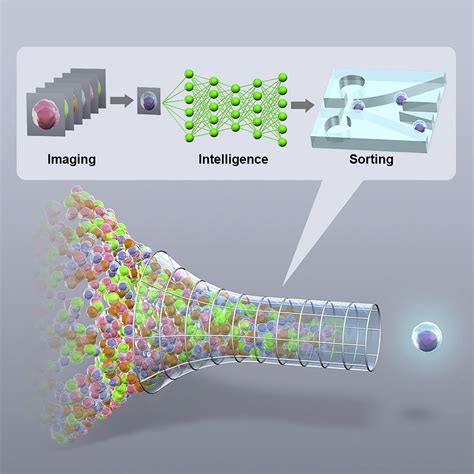 Image result for Sensor Array for Cell Sorting