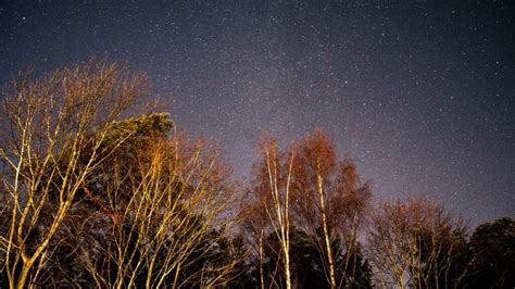 Backyard Astronomy Tips 的图像结果