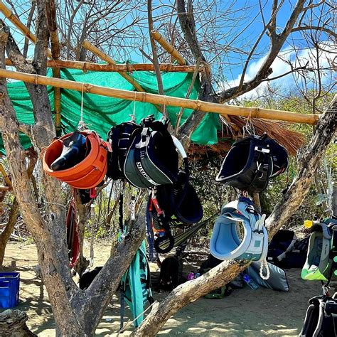 BLUE DREAM KITEBOARDING RESORT (La Cruz) - Hotel Reviews, Photos, Rate ...