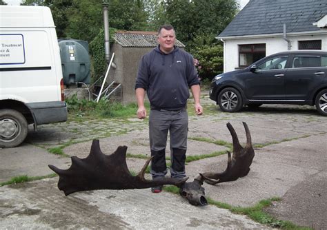 Mountain Mann Survival: Watch Irish Elk extinct species documentary
