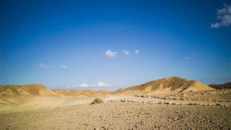 Mitzpe Ramon Travel Guide | Mitzpe Ramon Tourism - KAYAK