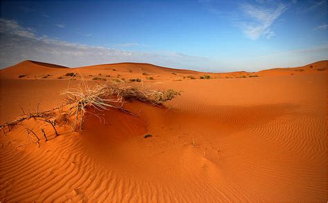 Çöl Resimleri - Sayfa 4