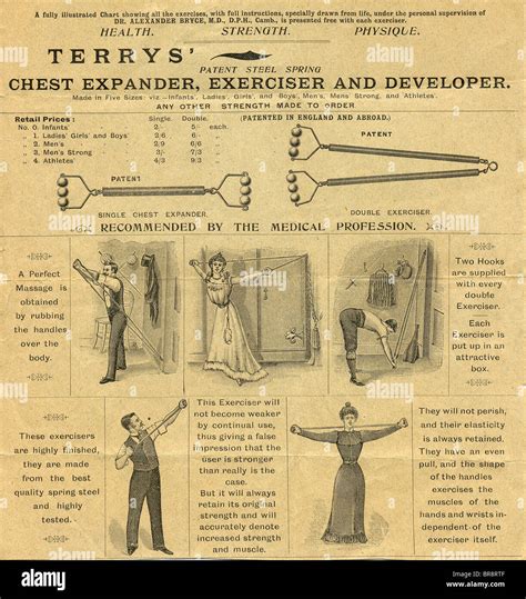Chest Expander Exercise Guide 的图像结果