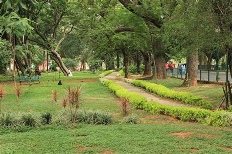 Karnataka High Court Halts Further Construction Inside Cubbon Park