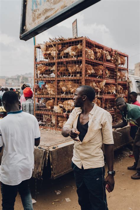 Forex 5 Minute Chart Moving Average 的图像结果