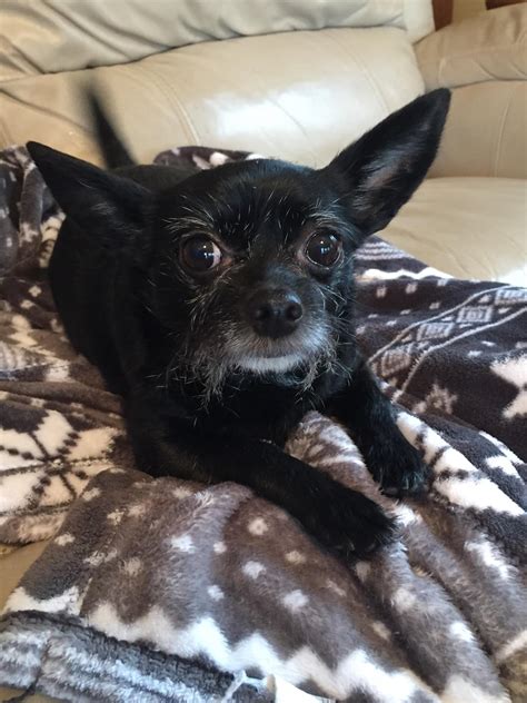 Hazel says bring on 2023 : r/ChooChoo21