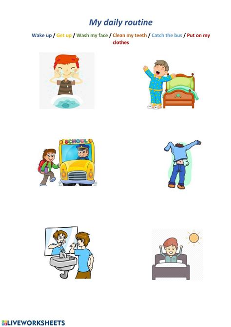 Routine 的图像结果