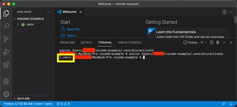Vscode Python Venv 的图像结果