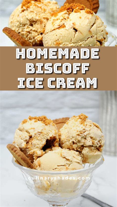 Biscoff Ice Cream Bars Recipe at Abbey Wales blog