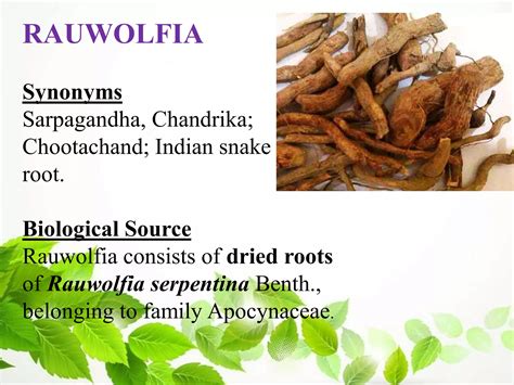 1.alkaloids | PDF - family of rauwolfia