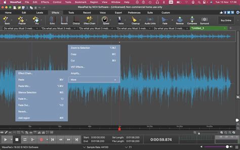 Image result for WavePad Sound Editor Code