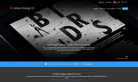 Image result for Adobe InDesign Screen with Introduction