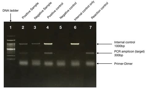 Image result for ASE HfO2 Structure