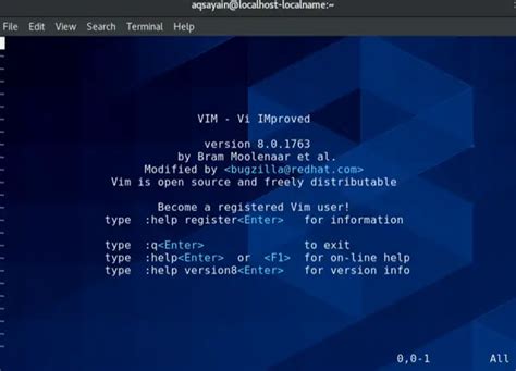 Image result for Vim GUI for Linux