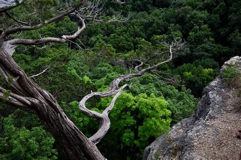 Backbone State Park - Northeast Iowa Tourism