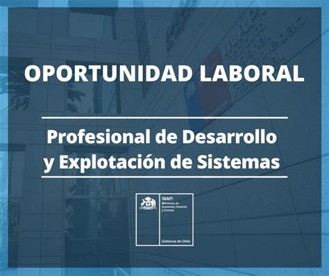 Image result for Inapi Chile