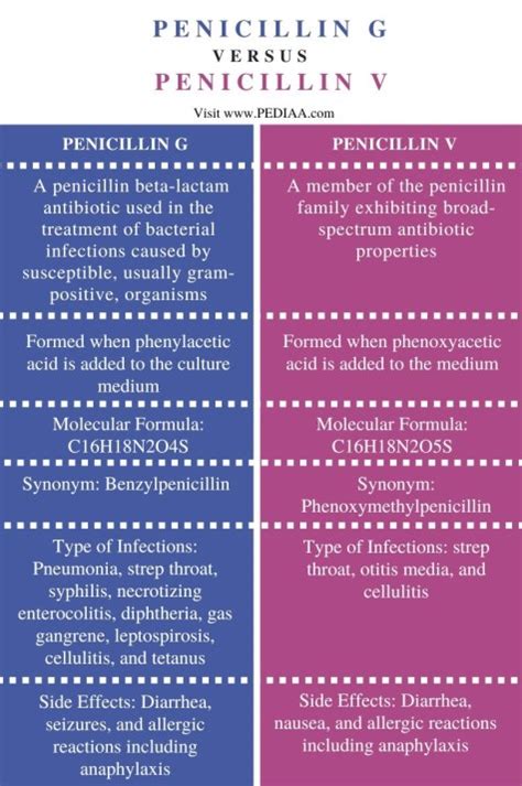 penicillin v vs amoxicillin