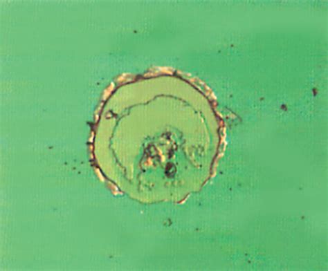 The Complexities of High-Power Optical Coatings | Edmund Optics