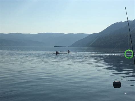 CASA DOMA ORSOVA - Specialty Inn Reviews & Photos - Tripadvisor