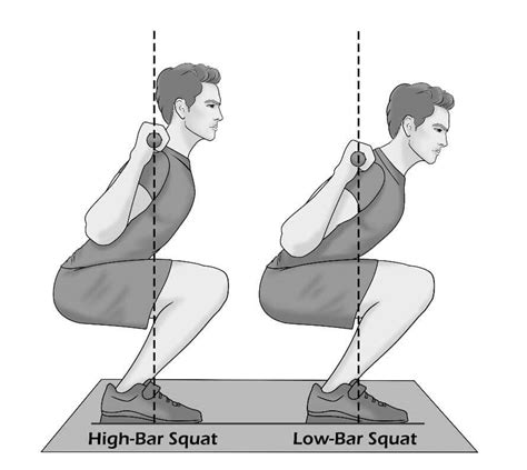 Low-Bar Squat at Brock Foletta blog