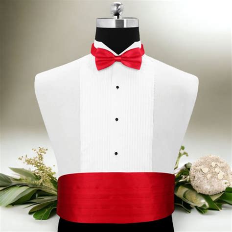 Buy Cummerbund and Bow tie Set Online in India | Peluche.in