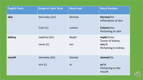 Chapter 1. presentation of medical english | PPTX