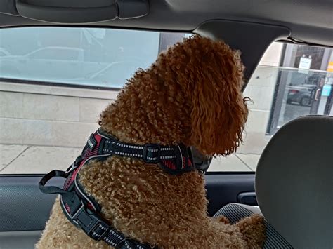 Slideshow: Asus ROG Phone 7 – Camera Samples