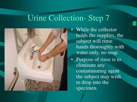 Image result for Urine Collection Method