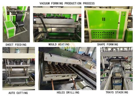 Vacuum Packing Tray Process 的图像结果