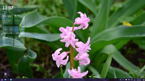 Image result for Linux Xfce Desktop