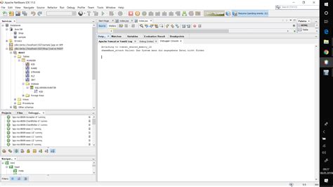 JSP Database Connection 的图像结果