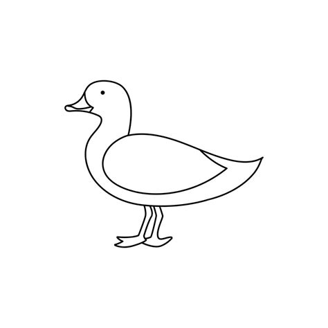 Image result for Duck Single Line Drawing