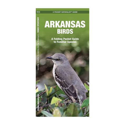 Arkansas Birds – All Things Arkansas
