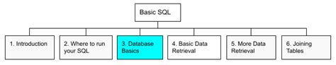 Database Basics 的图像结果