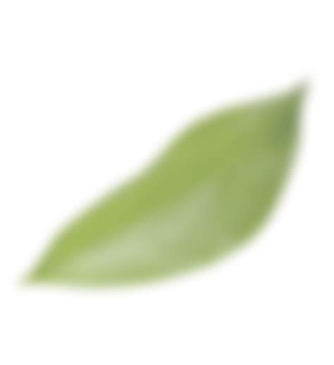 Вакансии в Naturomama