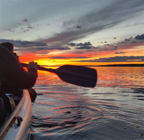 Surfer hit by 'big' creature after paddling out at closed beach: 'Unknown species'