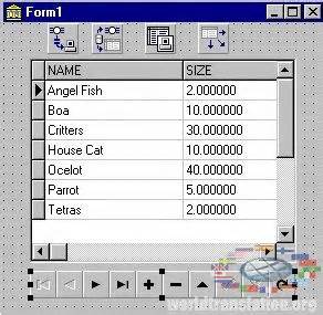 How to Implement Arrays Using Delphi Application 的图像结果