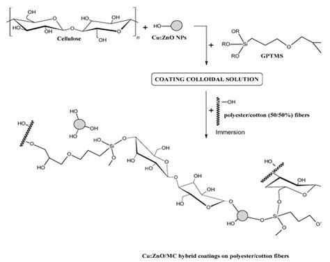 Antibacterial and Photocatalytic Coatings Based on Cu-Doped ZnO ...
